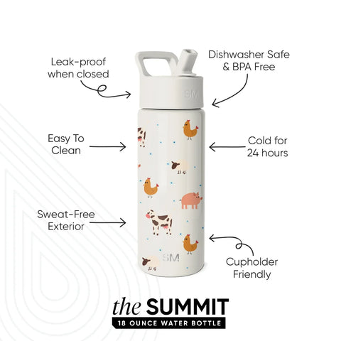 Summit Kids Water Bottle with Straw Lid